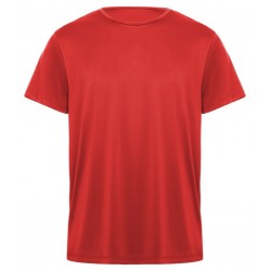 Tričko DAYTONA, sportovní, pánské, krátký rukáv